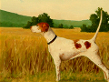 English Pointer - Original Landscape painting by Paul Keysar