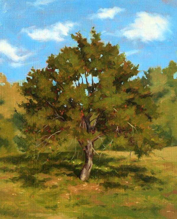 Apple Tree, Floyd, VA, is a plein air oil painting by the artist Paul Keysar of Charlotte, NC, depicting an apple tree in a field with a bright sky
